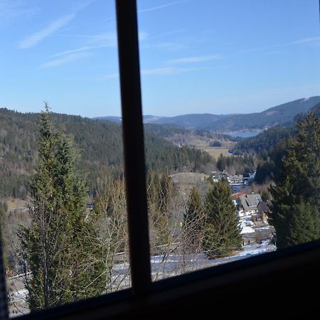Ferienwohnung Seeblick Nr 4 2-Zimmer, Baerental, Feldberg Rotwasser Esterno foto